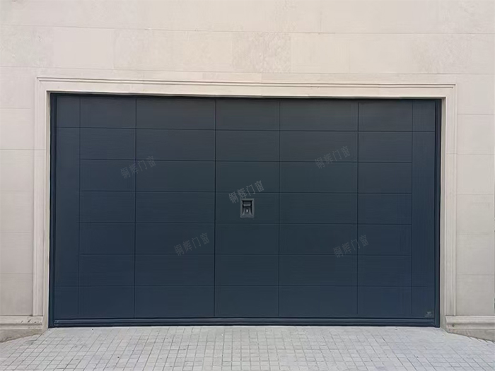 Silvelox进口车库门1